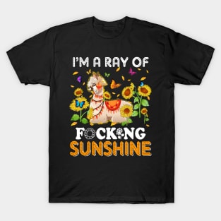 I'm A Ray Of Focking Sunshine Llama Lovers T-Shirt